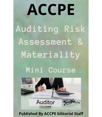 Auditing Risk Assessment and Materiality 2023 Mini Course